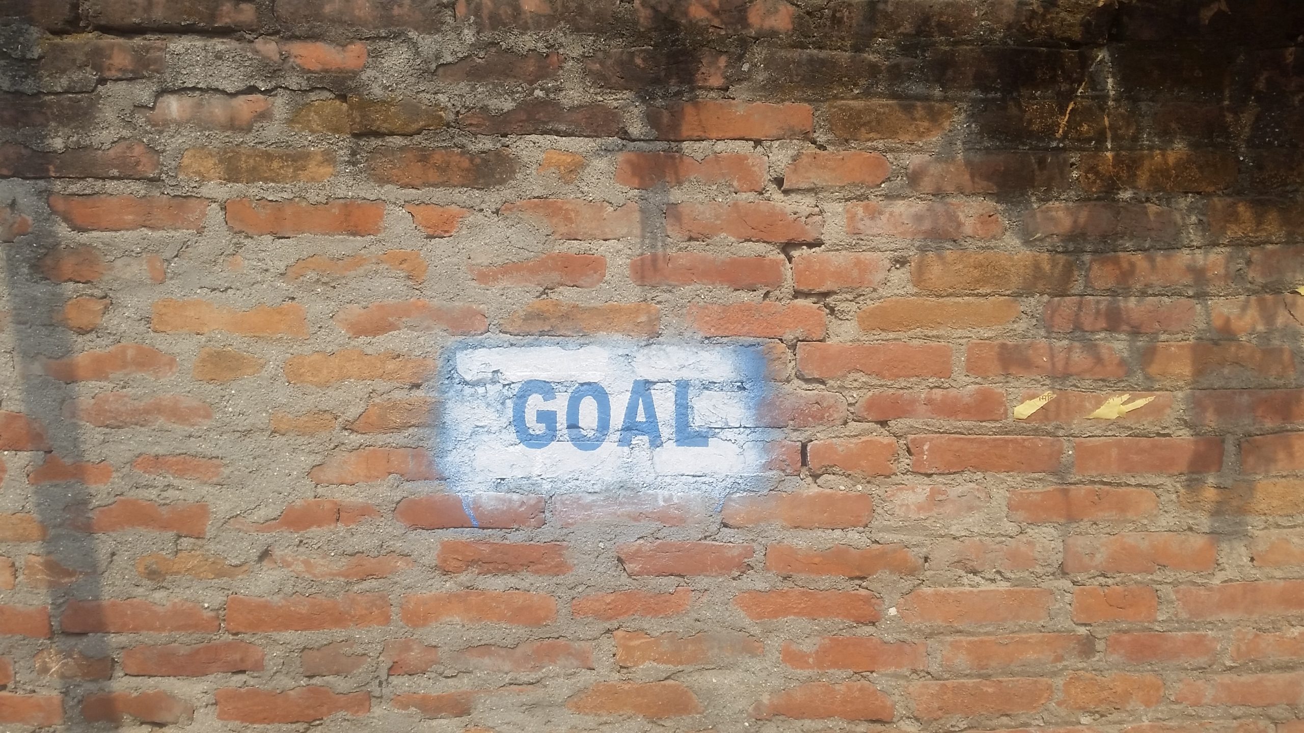 aha-nepal-goals